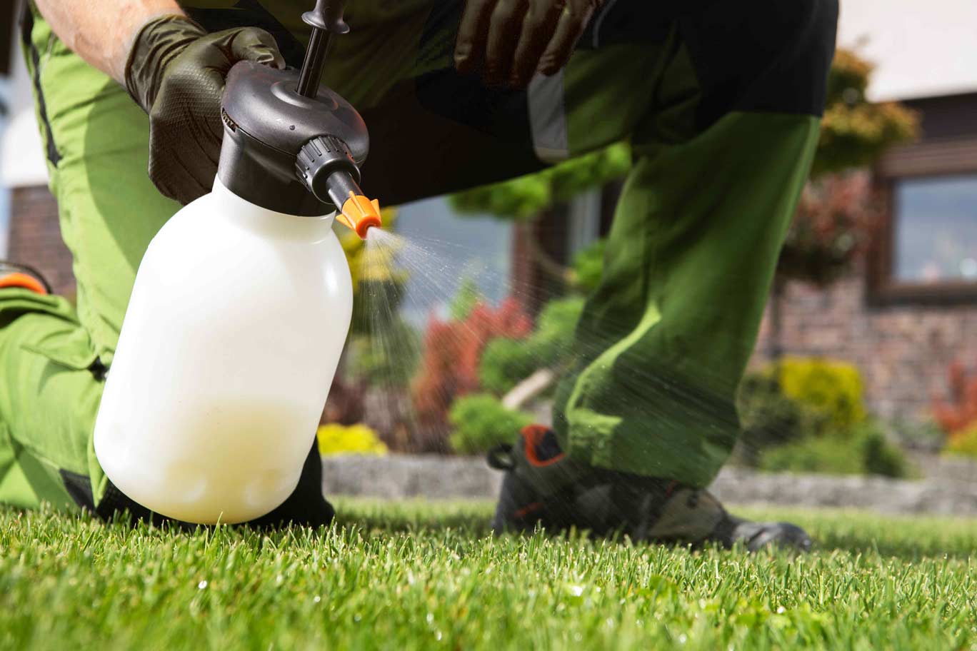 lawn fertilizer