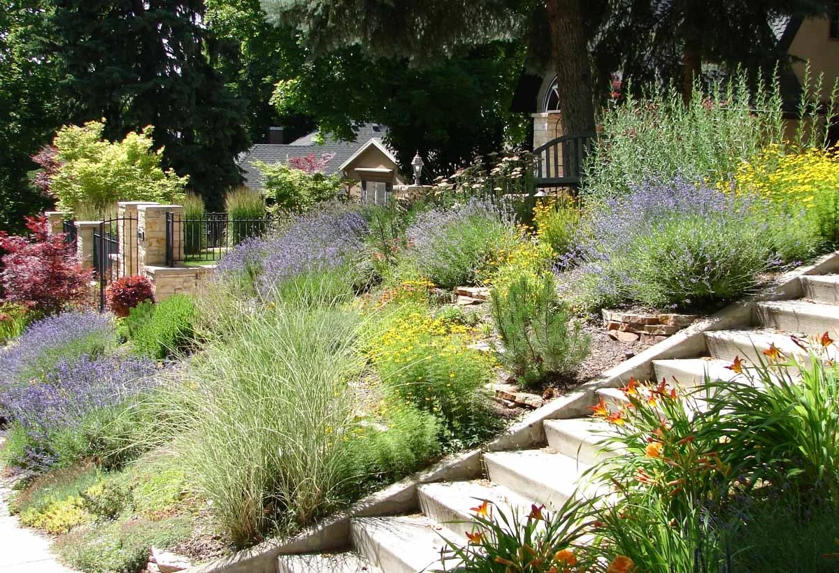native grasses and wildflowers