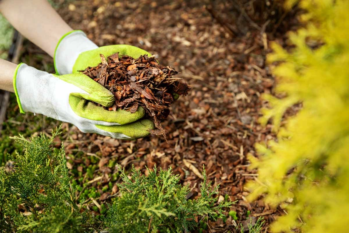 mulch installation service