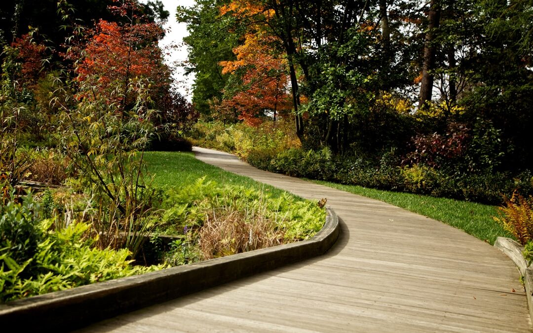 Garden & Landscape Design: Outdoor Design and Plant Inspiration in Utah