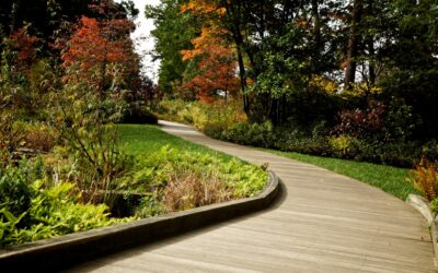 Garden & Landscape Design: Outdoor Design and Plant Inspiration in Utah