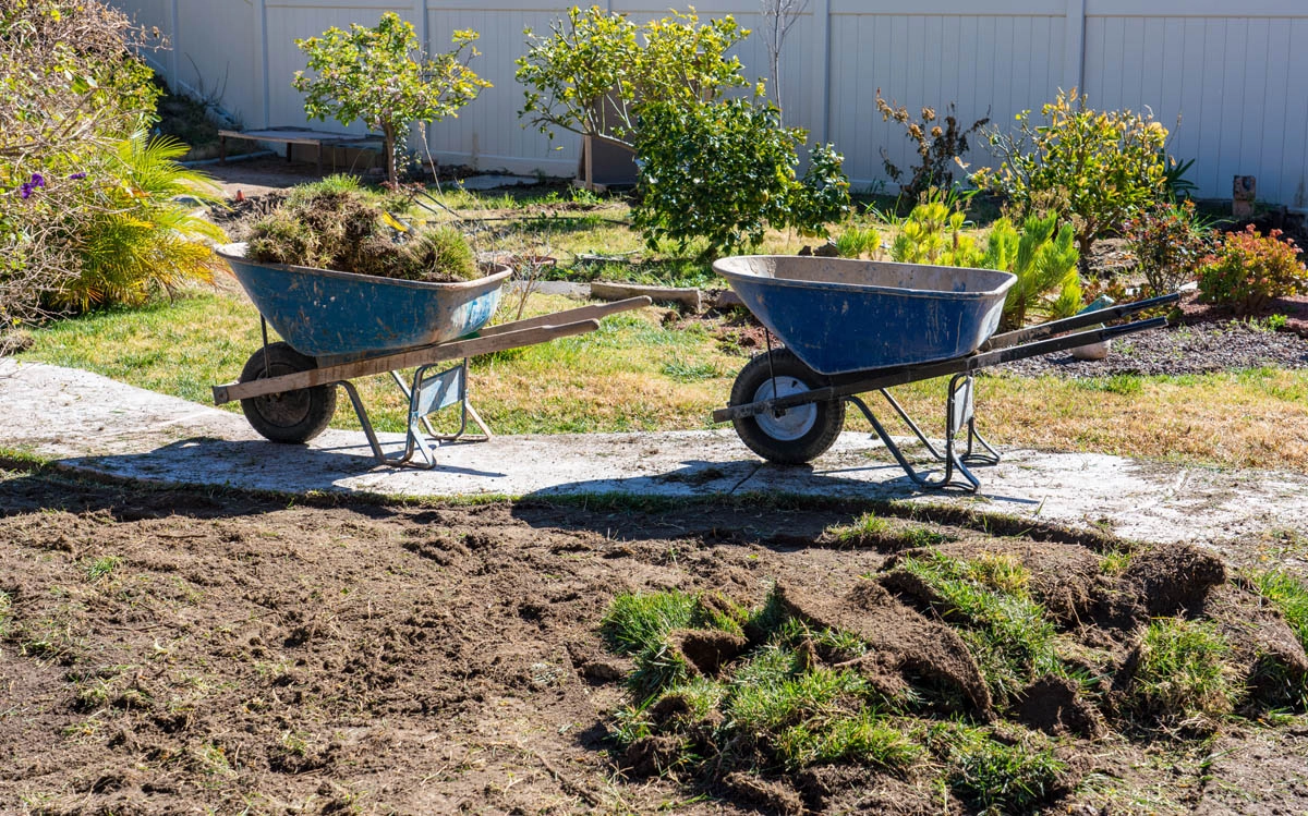 sod installation service